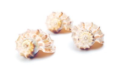 Similar image 279811