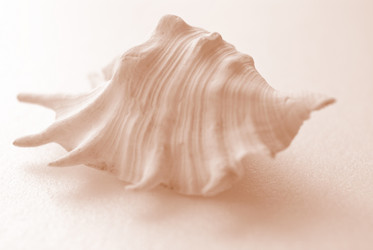 Similar image 279812