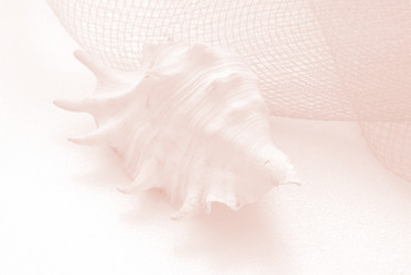 Similar image 279813