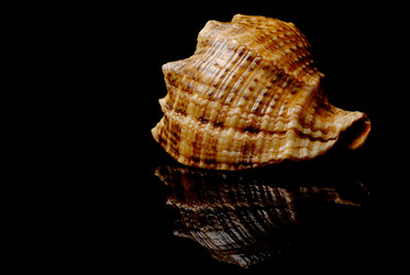 Similar image 279814