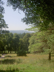 Similar image 279821