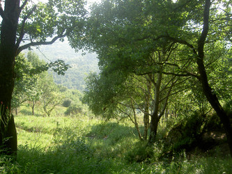 Similar image 279822