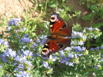 Similar image 279831