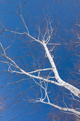 Similar image 279837