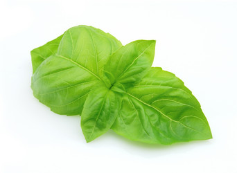 Similar image 279875