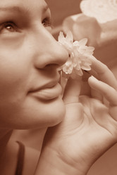 Similar image 279885