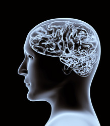 Similar image 279888