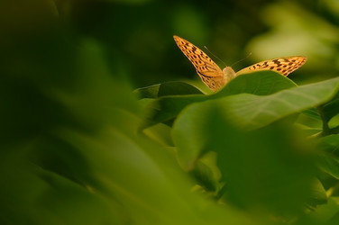 Similar image 279893