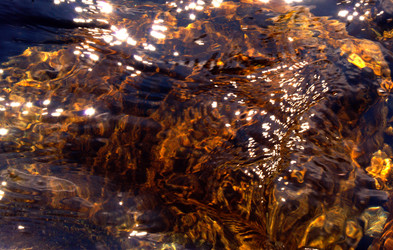 Similar image 279909