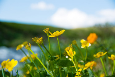 Similar image 279957