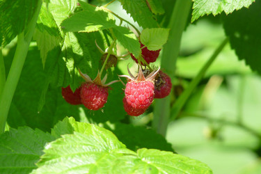 Similar image 279997