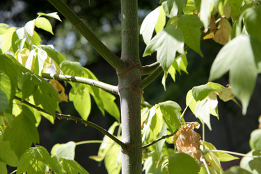 Similar image 280021