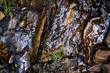 Similar image 280024