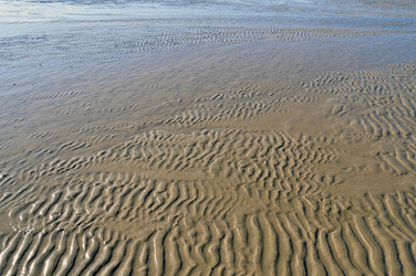 Similar image 280038