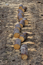 Similar image 280091