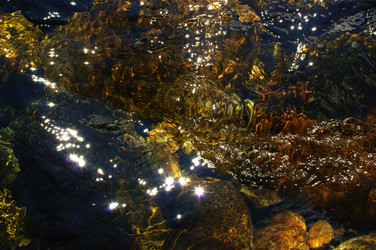 Similar image 280100