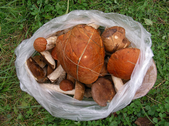 Similar image 280105