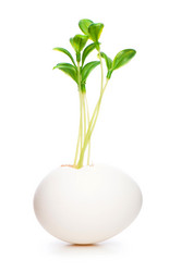 Similar image 280110