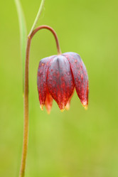 Similar image 280166