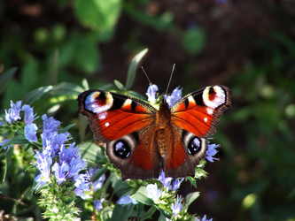 Similar image 280169