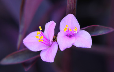 Similar image 280174