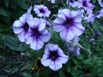 Similar image 280178