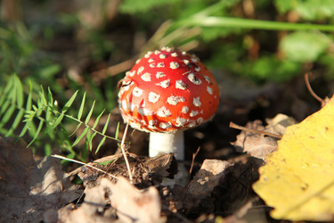 Similar image 280190