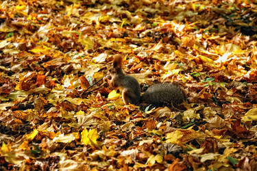 Similar image 280194