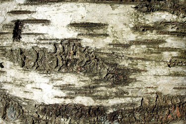 Similar image 280264