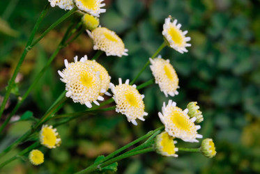 Similar image 280267