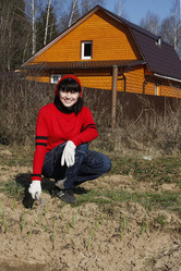 Similar image 280277