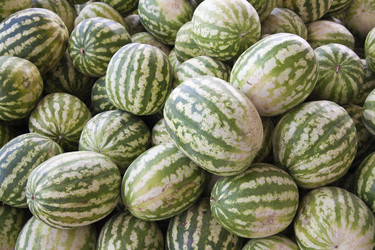 Similar image 280288