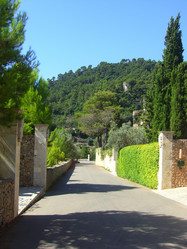 Similar image 280428