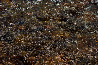 Similar image 280448