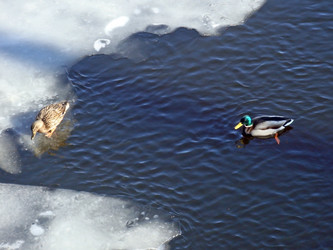 Similar image 280452