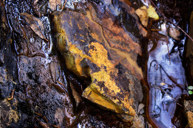 Similar image 280455