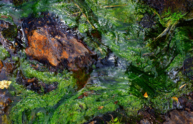 Similar image 280456