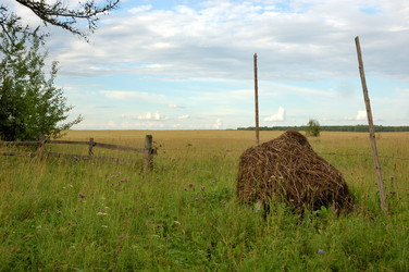 Similar image 280459