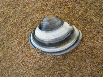 Similar image 280464