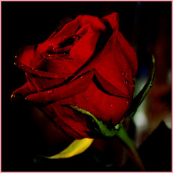 Similar image 280472