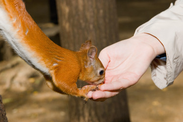 Similar image 280479