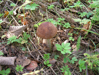 Similar image 280487