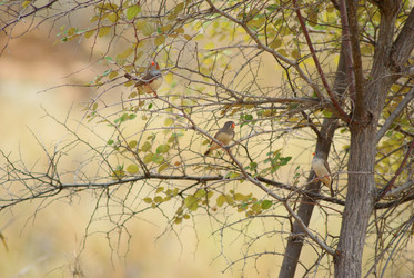 Similar image 280493