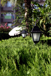 Similar image 280501