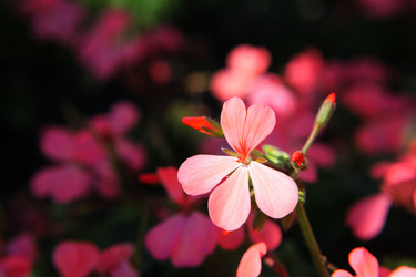 Similar image 280506