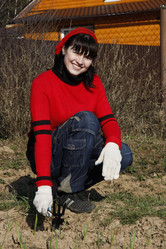 Similar image 280512