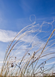 Similar image 280531