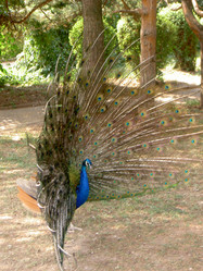 Similar image 280568