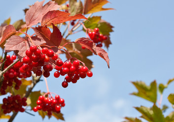 Similar image 280596