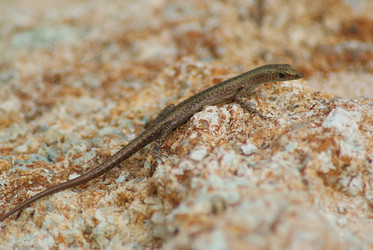 Similar image 280603